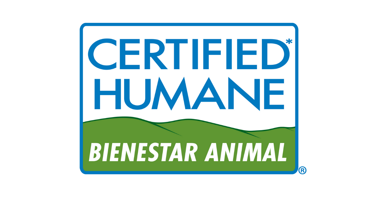 Sem nome (1900 x 963 px) (1800 x 663 px)